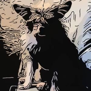 Meet your Posher, Simon